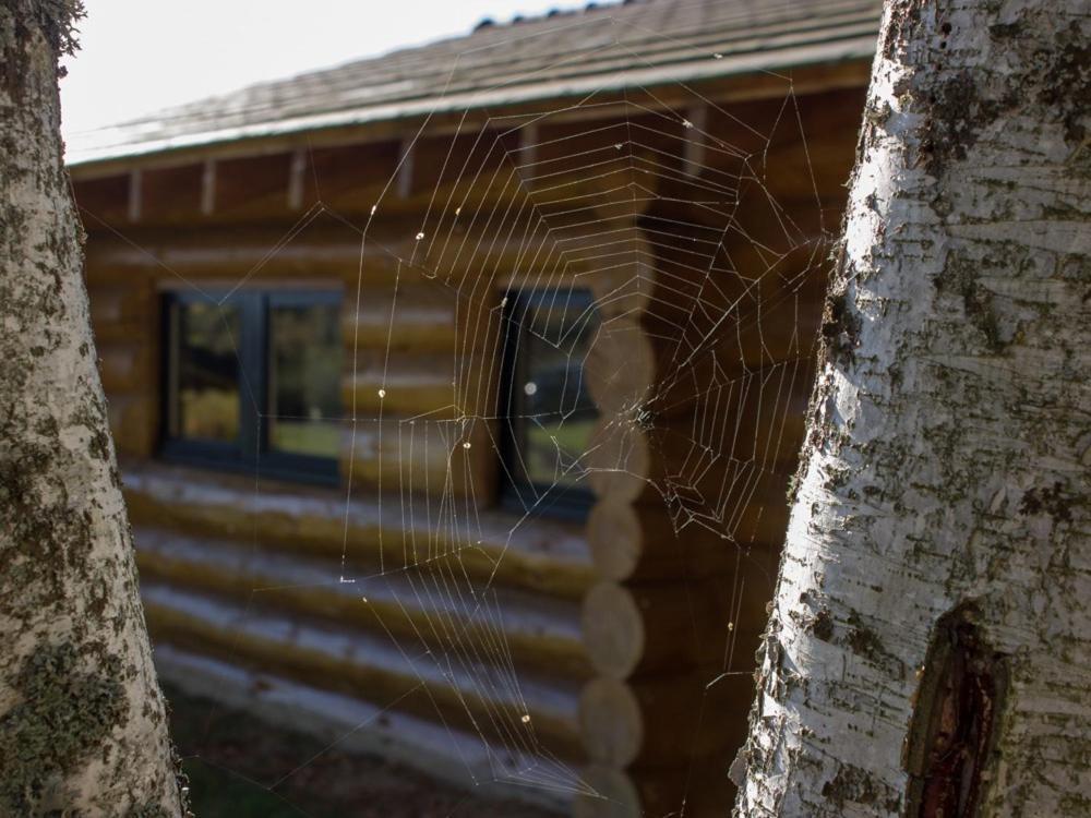 Reves De Bois Villa Loubeyrat Eksteriør billede