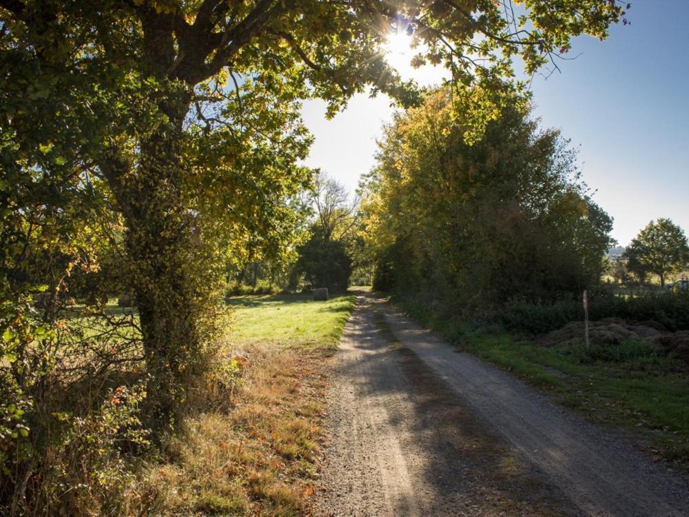 Reves De Bois Villa Loubeyrat Eksteriør billede